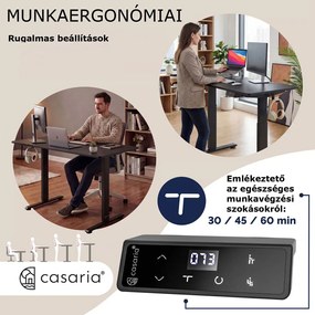 FLEXI állítható magasságú irodai íróasztal, 160x75x72–117cm, fekete Casaria