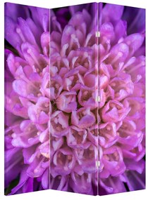 Paraván - Részletes virág (126x170 cm)