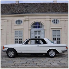 Poszterek 100x100 Mercedes W123
