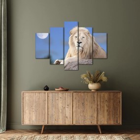 Kép - Fehér oroszlán (150x105 cm)