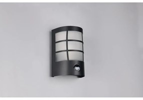 Fali kültéri lámpa (magasság 20 cm) Sintra – Trio