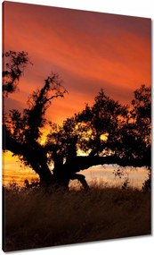 Festmények 70x100 Afrikai tájkép