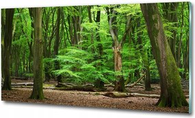 Fotó üvegfestmény Santorini Görögország 125x50