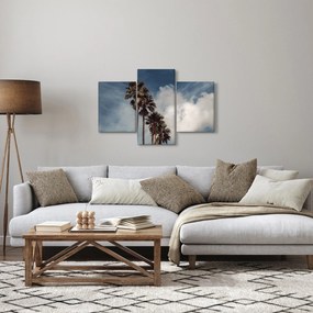 Kép - Pálma dráma (90x60 cm)