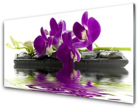 Modern üvegkép Virág növény természet 100x50 cm
