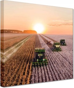 Festmények 20x20 Aratás Mezőgazdaság Kombájn