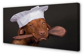 Canvas képek kutya szakács 120x60 cm