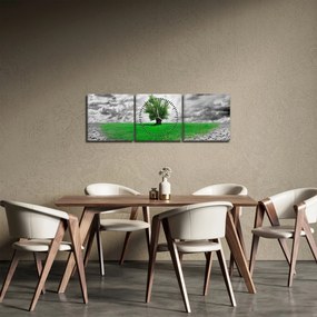 Kép - egy darab természet a városban (órával) (90x30 cm)