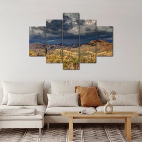 Kép - kaktuszok a természetben (150x105 cm)