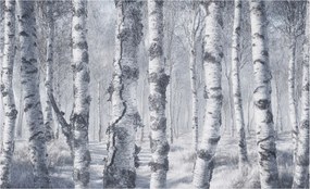 Fotótapéta Flizelin Hálószoba és Nappali Tapéta Fagyos természet 416x254