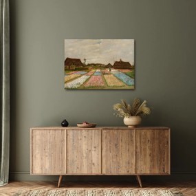 Kép - Vincent van Gogh, Flower Beds in Holland, reprodukciók (70x50 cm)