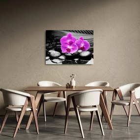 Üveg kép - Lila orchideák (70x50 cm)