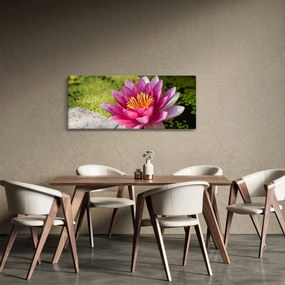 Kép - Tavirózsa (120x50 cm)