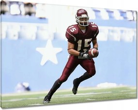 Képek 100x70 Amerikai focista