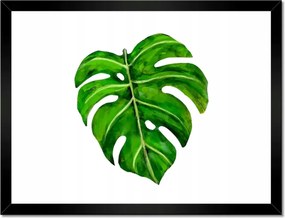 Poszterek keretben 40x30 Modern levél kép