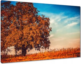 Vászonkép 100x70 Őszi színek Tájkép