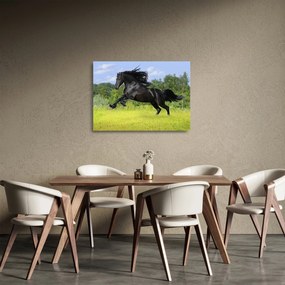 Üveg kép - Ló hullámzó sörénnyel (70x50 cm)