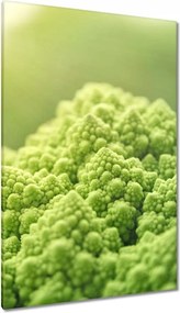 Festmények 80x120 Konyhai képek Forradalmak