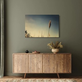 A fű képe (90x60 cm)
