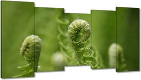 Vászonkép 150x80 Páfrányok Erdő Zöld levél