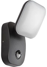 Rabalux 77058-LED Kültéri fali lámpa érzékelővel ODIEL LED/12W/230V IP44