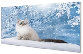 Akrilkép macska télen 100x50 cm