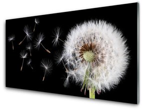 Fali üvegkép Pitypang 120x60cm