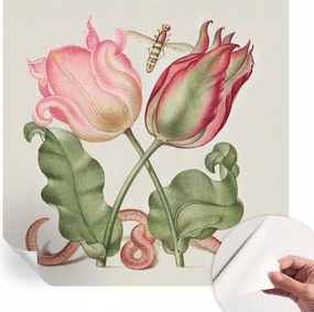 Öntapadós Stílusos Dekoratív Fotótapéta Tulipán szépség 250x250 cm