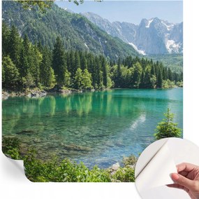 Modern öntapadós fali fotótapéta Zöld tó 250x250 cm
