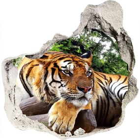 3d-s lyuk vizuális effektusok matrica Tiger a rock nd-p-61968911