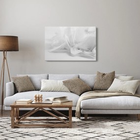 Kép - Tollak (90x60 cm)