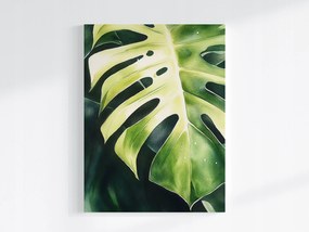 Canvas Vászonkép Növény Zöld Levél Monster Filodendron 60x80