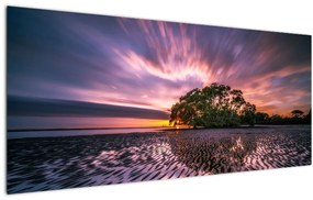 Egy fa a tengerparton képe (120x50 cm)