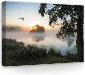 Vászonkép 70x50 Csendes tó reggeli köd természet táj hajnal madár csend