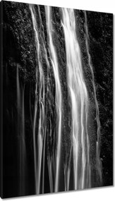 Vászonkép 80x120 Vízesés Fekete-fehér