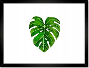 Poszterek keretben 40x30 Lyukas monsera levél