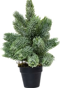 Mini műfenyő cserépben 22 cm Hó nélküli