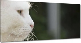 Vászonkép 180x90 Macska tekintet Cica