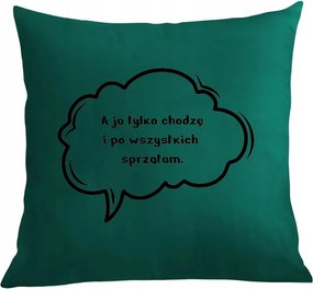 Párna párnahuzat Mindenkit takarítok