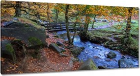 Képek 115x55 Híd a parkban