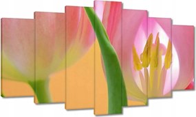 Vászonkép 140x80 Rózsaszín tulipánok