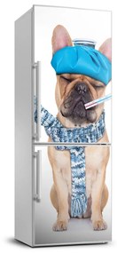 Hűtőre ragasztható matrica Beteg kutya FridgeStick-70x190-f-82923606