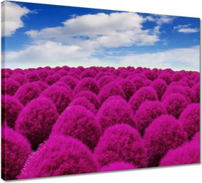 Vászonkép 50x40 Kifejező rét Tájkép