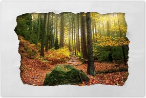 Poszterek 120x80 Tájkép