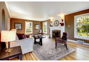 Szürke szőnyeg 160x230 cm Soft – FD