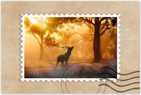 Poszterek 60x40 Szarvas az erdőben