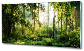 Üvegfotó A reggeli nap erdő osh-122163677
