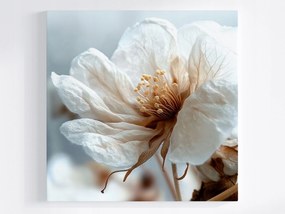 Poszter Fehér Virág Makró Minimalizmus Botanika 40x40