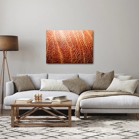Kép - Textúra részlet (70x50 cm)