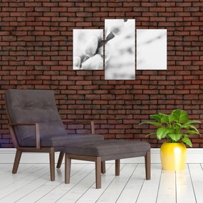 Kép - A tavasz kezdete (90x60 cm)